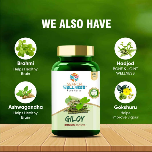 Search Wellness Giloy Capsules - Swadesiicart