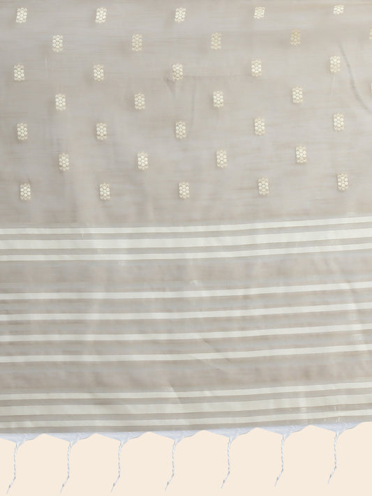 Vishnu Weaves Women's Beige Lucknowi Cotton Chikankari Woven Saree with Blouse - Swadesiicart