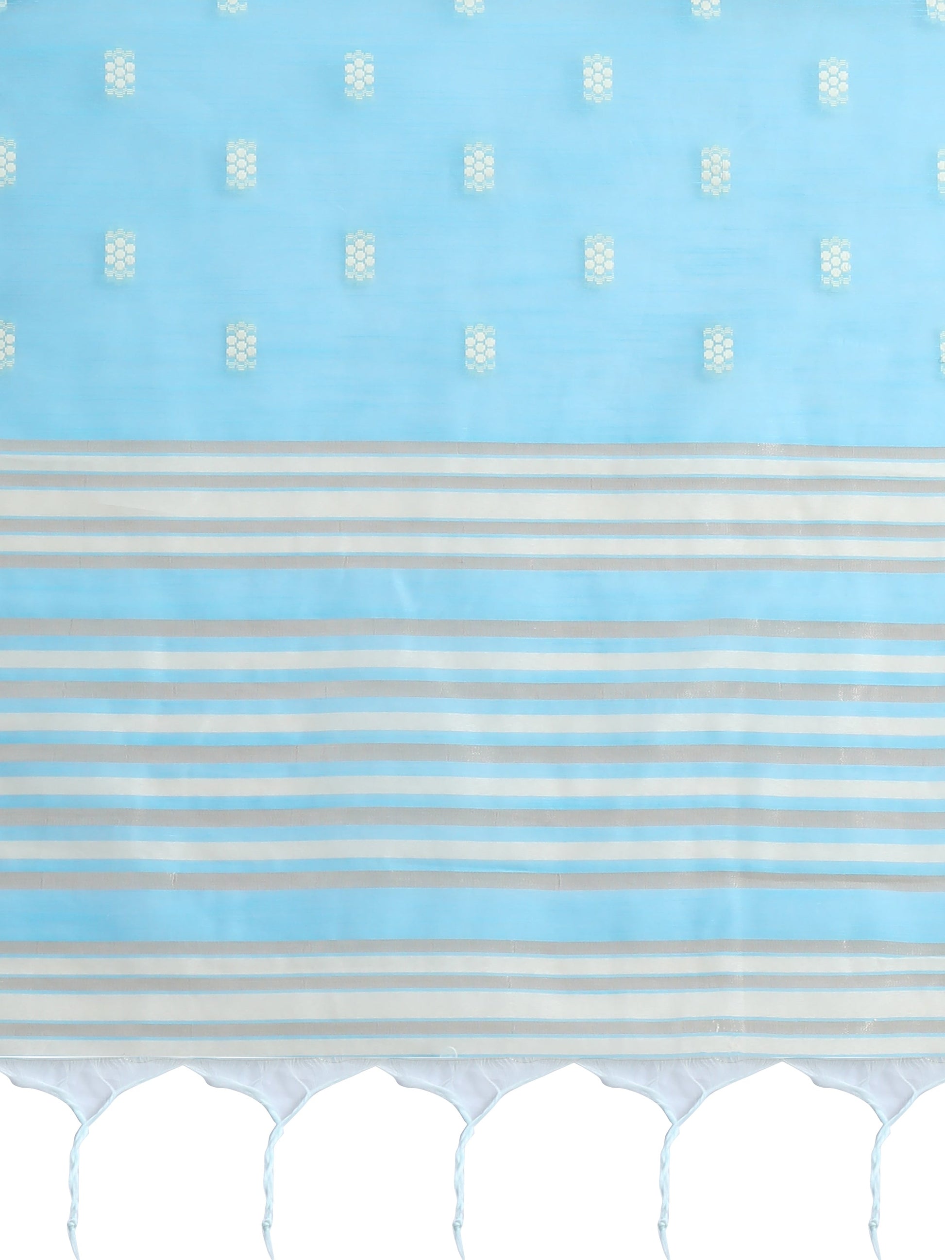 Vishnu Weaves Women's Sky Blue Lucknowi Cotton Chikankari Woven Saree with Blouse - Swadesiicart