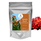 Nxtgen Ayurveda Ashoka Bark Powder - Oilcure Health & Beauty