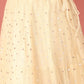 House of Panchhi Cream Net Multi colour Thread & Sequinse Work Lehenga & Blouse, Dupatta | Swadesiicart