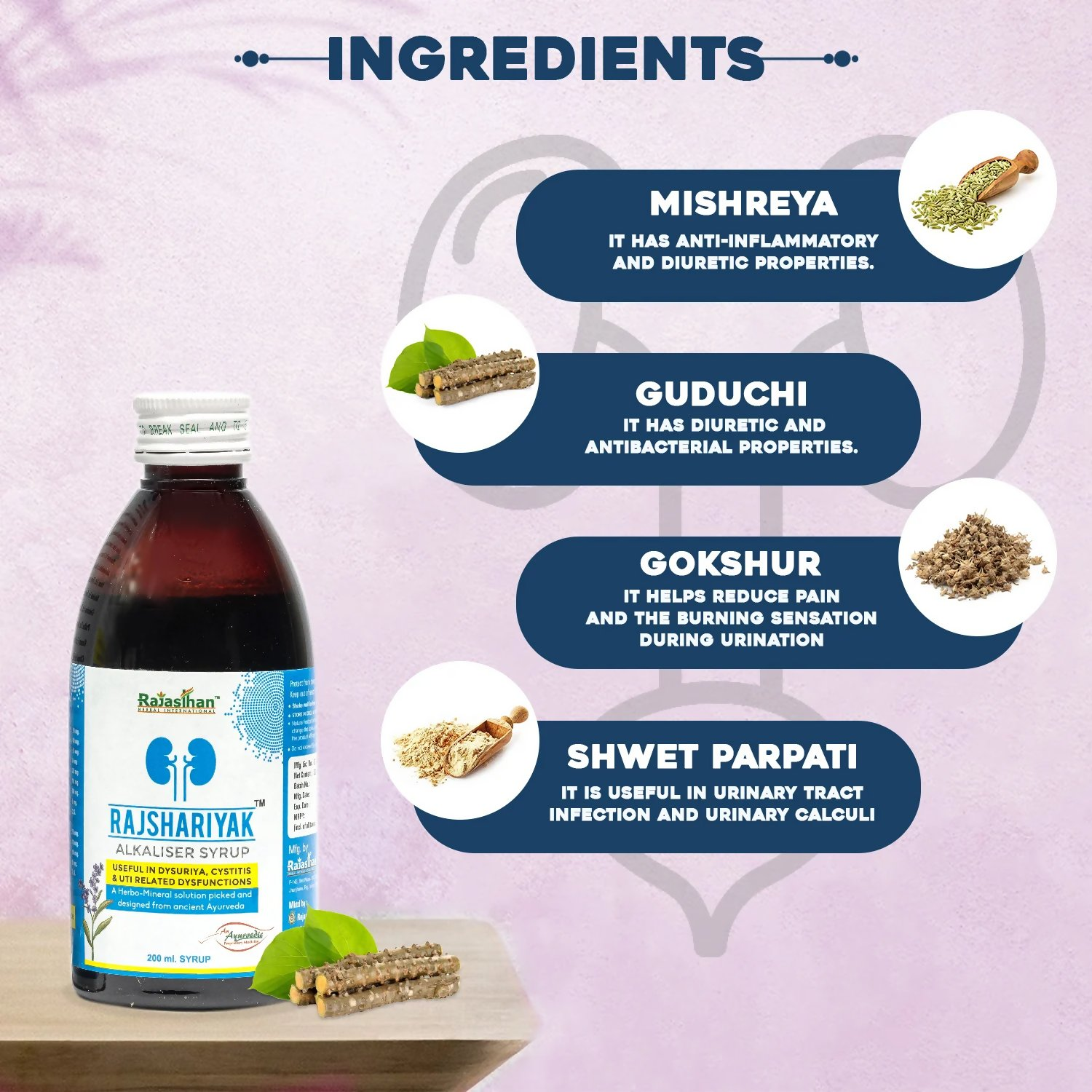 Rajasthan Herbals Rajshariyak Alkaliser Syrup | Swadesiicart