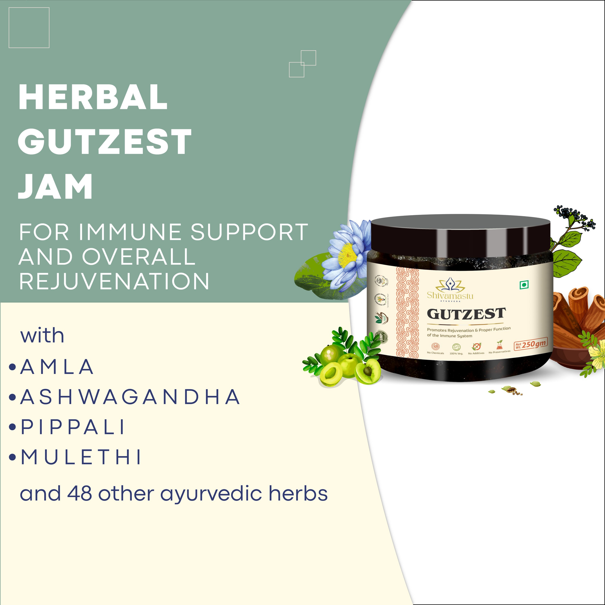 Shivamastu Ayurveda Gutzest Chyawanprash | Swadesiicart