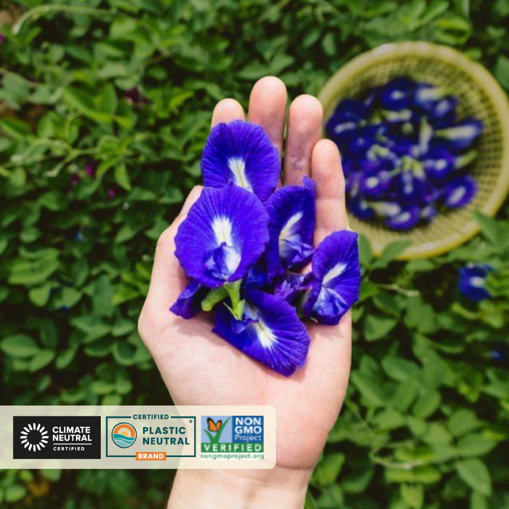 Butterfly Pea Flower Tea Herbal Tea Tisane, 1.76 oz