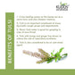 Kudos Ayurveda Tulsi Amrit