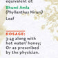 Parijata Herbs Bhumi Amla (Nelanelli) Powder - Swadesiicart