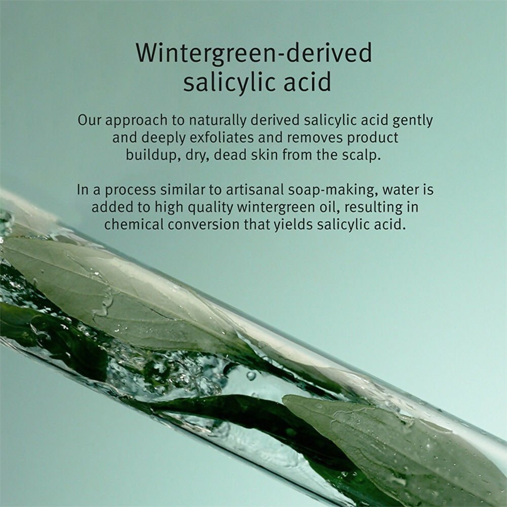 Aveda Scalp Solutions Exfoliating Scalp Treatment | Swadesiicart