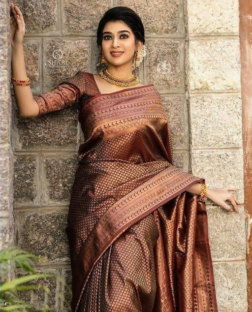 DEIANA'S Beautiful Designer Golden zari Soft Lichi Silk Saree - Brown - Swadesiicart