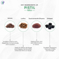Pathak Ayurvedic Pharmacy Pistil Tablets - Swadesiicart