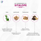 Pathak Ayurvedic Pharmacy Sitalope Tablets - Swadesiicart