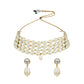 Gold-Polished Traditional Pearl Beaded Stylish Moti Choker Necklace Jewellery Set with Earrings for women - Wahe Jewels - Swadesiicart