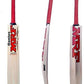 Xtroke Popular Willow Cricket Bat with Cover (Size 6) - Swadesiicart