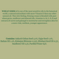 Biotique Firming Face & Body Cream - Bio Wheat Germ