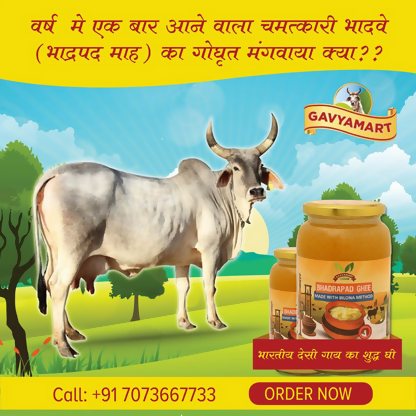 Gavyamart Bhadwa Ghee (Bhadrapad) | Swadesiicart