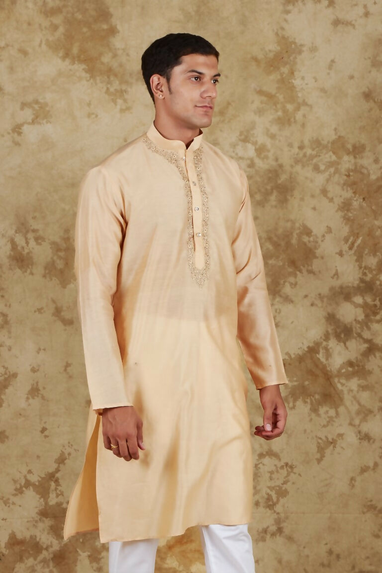 Bluesaanchi Men's Chandery Silk Light Khaki Embroidered Kurta Set | Swadesiicart