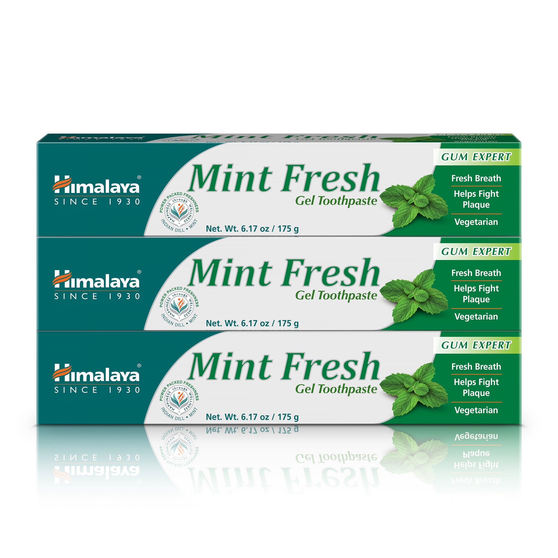 Mint Fresh Gel Toothpaste