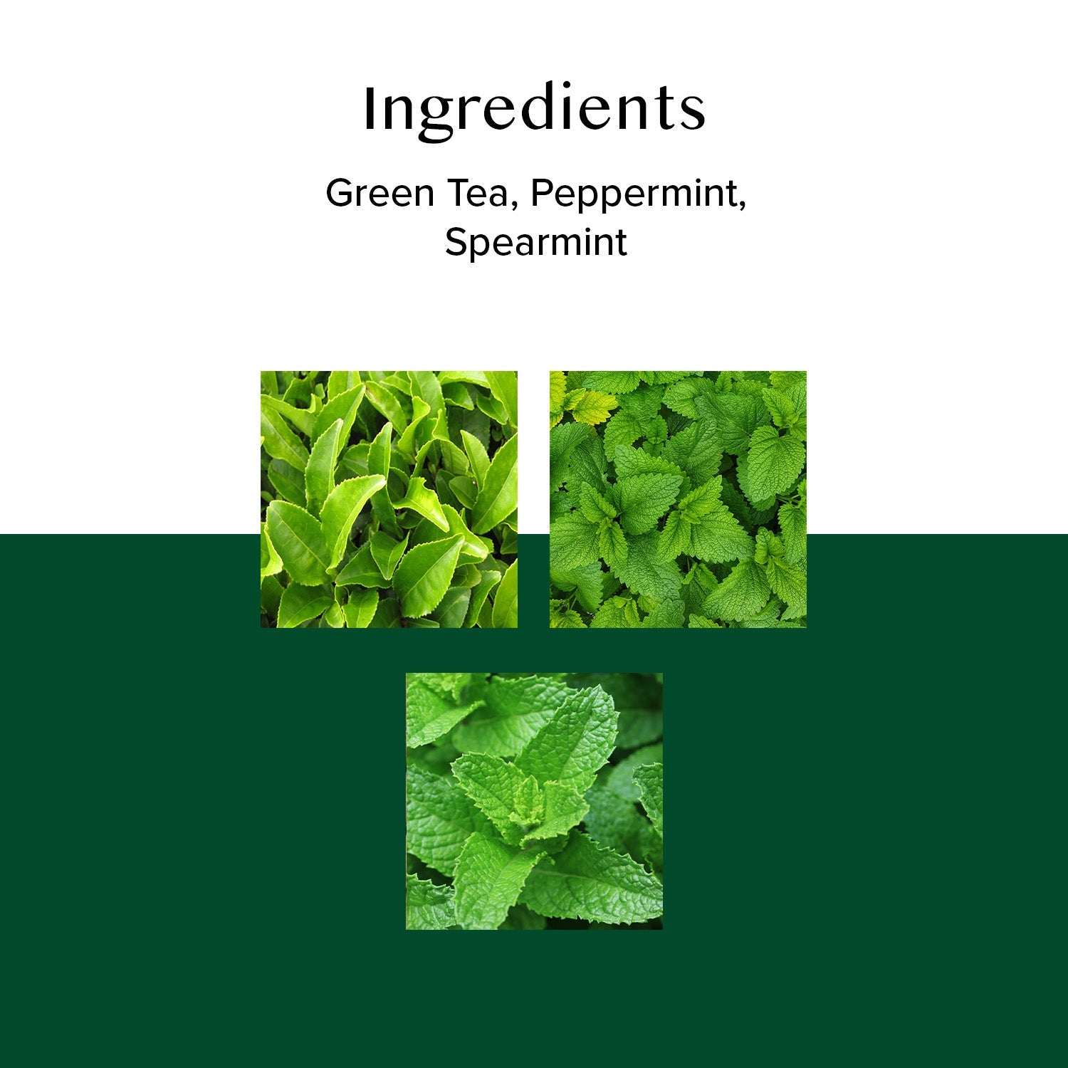 Mint Melody Green Tea, 30 Count