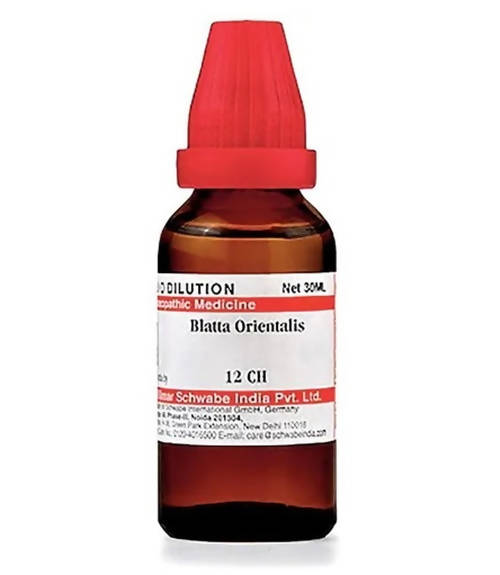 Dr. Willmar Schwabe India Blatta Orientalis Dilution | Swadesiicart