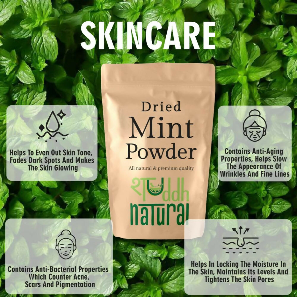 Shuddh Natural Mint Powder - Aromatic Flavor - Swadesiicart