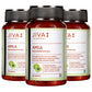 Jiva Ayurveda Amla Tablets - Swadesiicart