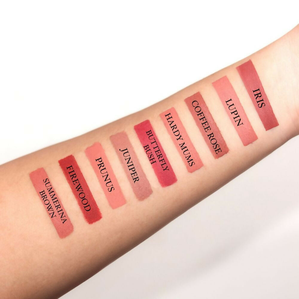 Love Earth Lip Crayon Non-Transfer Lipstick 1.O And Sharpener - Swadesiicart