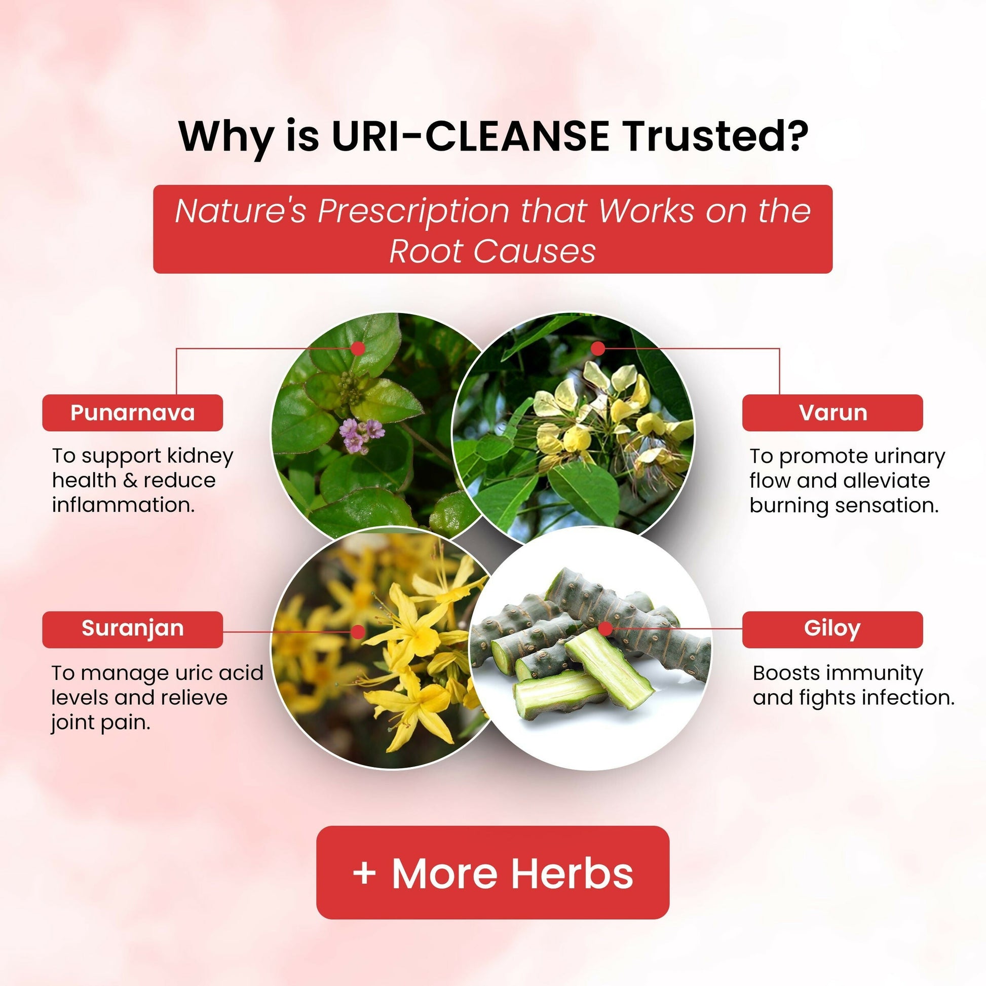 Life Aveda Uri- Cleanse Capsules - Swadesiicart