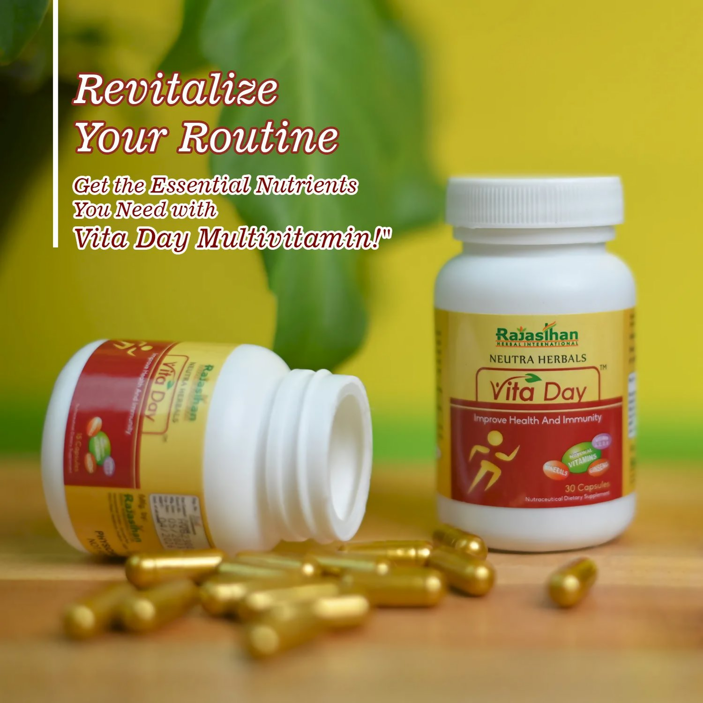 Rajasthan Herbals Neutra Herbals Vita Day Capsules | Swadesiicart