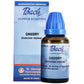 St. George's Bach Flower Remedies Chicory Dilution | Swadesiicart