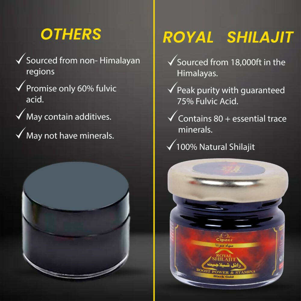 Cipzer Royal Black Gold SJ - Swadesiicart
