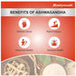 Baidyanath Kolkata Ashwagandha Tablets | Classical Ayurvedic Adaptogen for Stress & Vitality - Swadesiicart