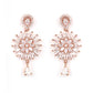 Priyaasi Women Dreamy Dahlia - American Diamond Rose Gold-Polished Jewellery Set - Swadesiicart
