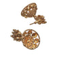 Priyaasi Women Traditional Gold-Polished Jewellery Set - Swadesiicart