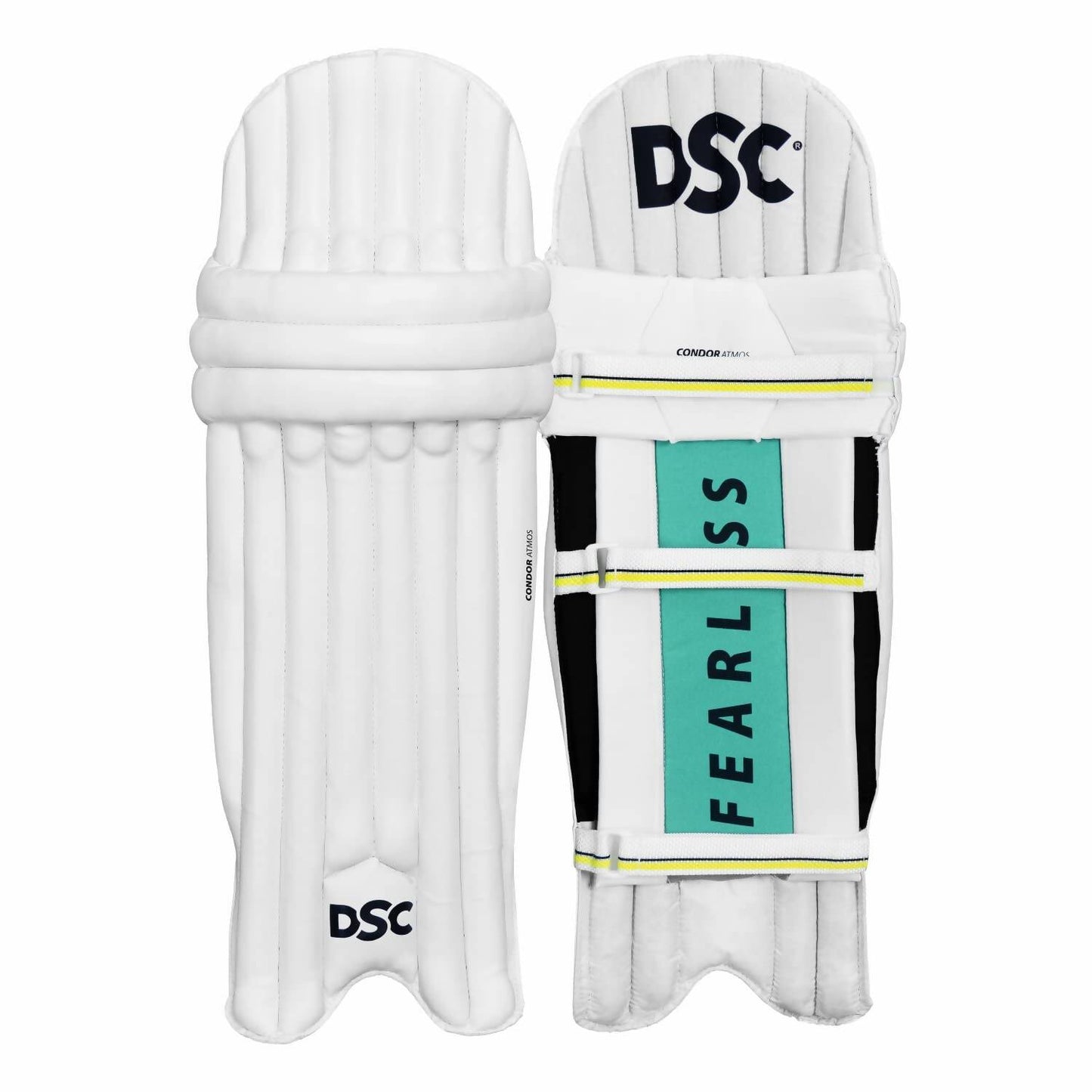 DSC Economy Kashmir Willow Cricket Kit (Size 5) - Swadesiicart