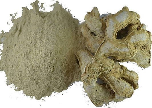 Dark Forest Dry Ginger Powder | Swadesiicart