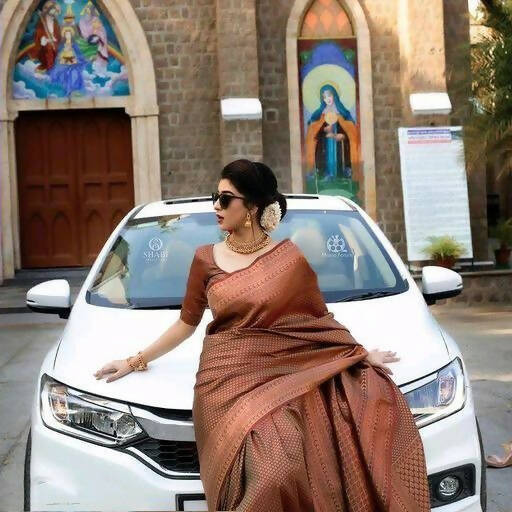 DEIANA'S Beautiful Designer Golden zari Soft Lichi Silk Saree - Brown - Swadesiicart
