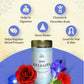 Shuddh Natural Brain Booster Guldasta Floral Tea | Swadesiicart