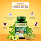 Himalayan Organics Plant Based Vitamin C + Zinc Double Immune Support Vegetarian Capsules | Swadesiicart