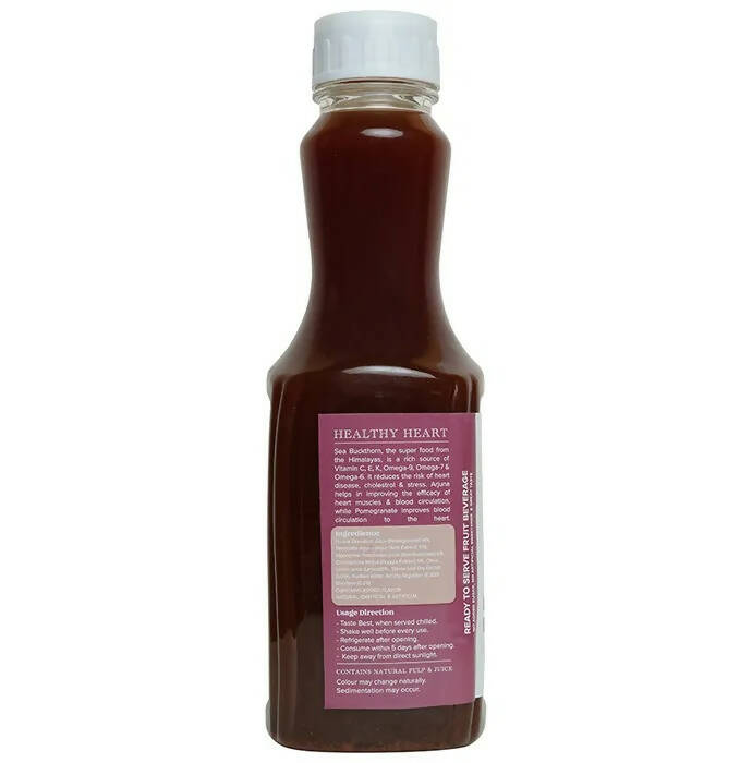 Baidyanath Jhansi Ladakh Berry Ready To Drink Juice - Swadesiicart
