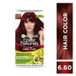 Garnier Color Naturals Creme Riche Hair Color - Shade 6.60 Intense Red - Swadesiicart