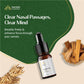 Nasya Oil 0.3 fl oz (10 ml)