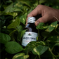 Neuro Forte Syrup 200ml