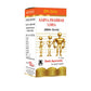 Basic Ayurveda Sarva Jwarhar Loha (With Gold) Tablet | Swadesiicart