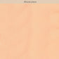 Ahalyaa Women's Traditional wear Saree - Peach | Swadesiicart
