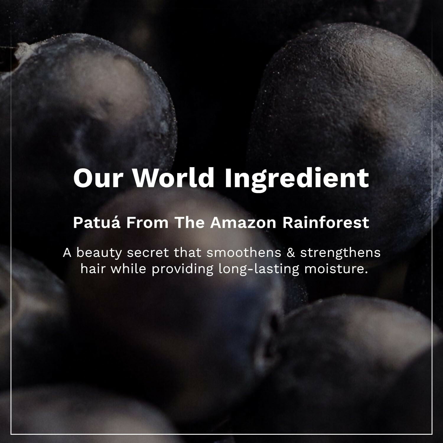 Pilgrim Patua & Keratin Hair Smoothening Shampoo For Dry & Frizzy Hair - Swadesiicart