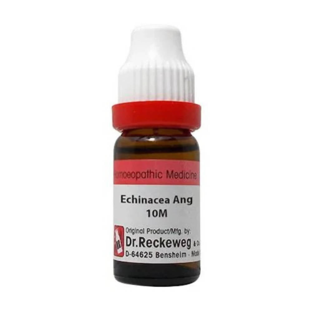 Dr. Reckeweg Echinacea Ang Dilution - Swadesiicart