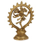 Devlok Lord Shiva Dancing Natraj Idol