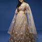 House of Panchhi Rust Net Gotapatti Work Lehenga & Blouse with Dupatta | Swadesiicart