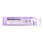 Boiron Homeopathy Belladonna Pellets | Swadesiicart