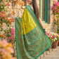 Anaita Olive Pochampally Printed Saree With Blouse