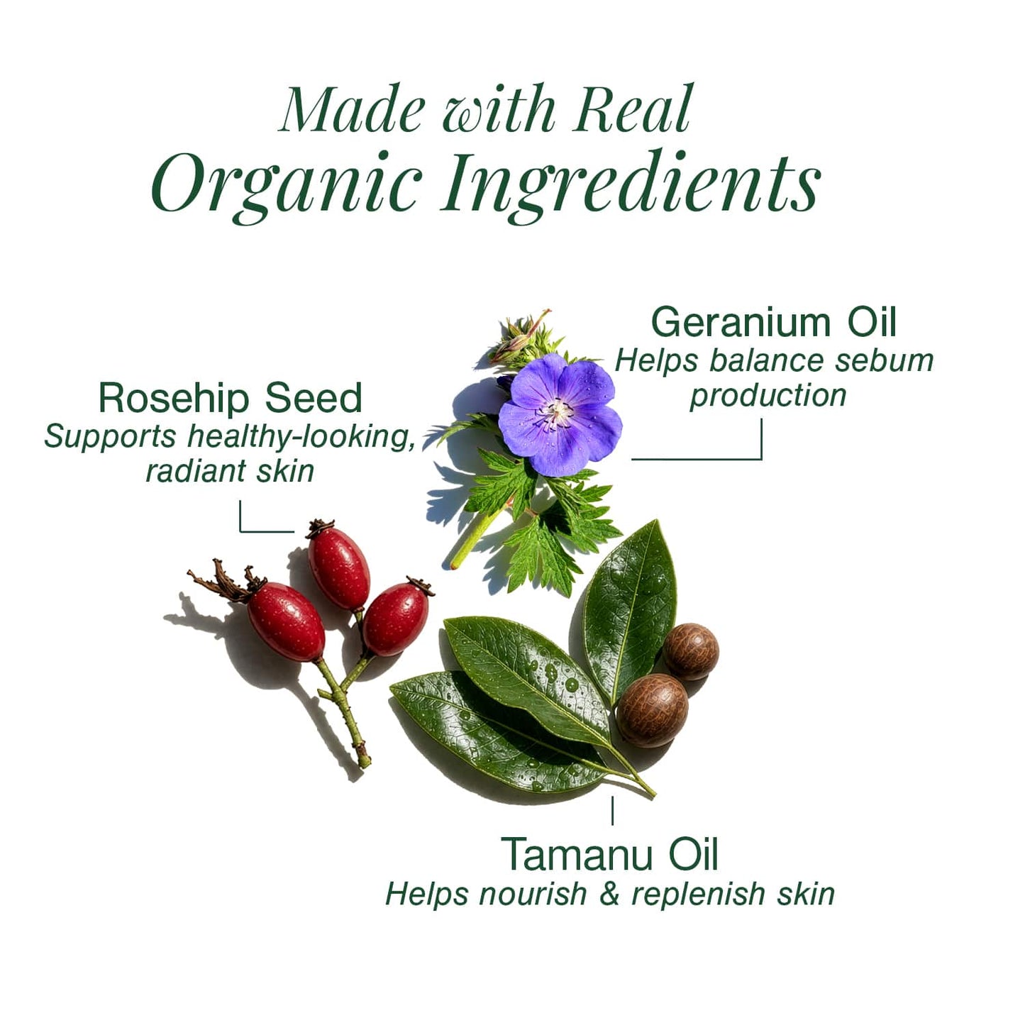 Organic Brightening Face Wash Fortified with Tamanu + Rosehip